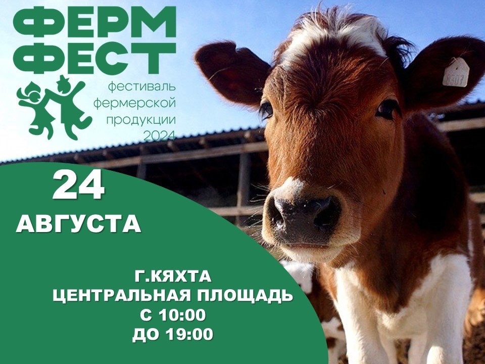ФЕРФЕСТ.