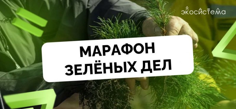 #марафонзеленыхдел.